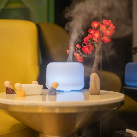 HAPPY NEST HOTEL (Shenzhen North Railway Station)
