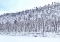 In the Slow Old Days: Grain Buds - con vista montagne