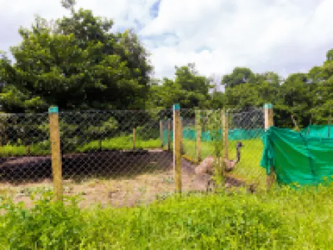 Shetty Farms Hotels in Palghar