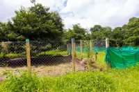 Shetty Farms Hotels in Palghar