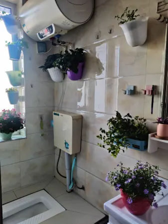 Spring Festival Homestay Отели в г. Цзяньпин