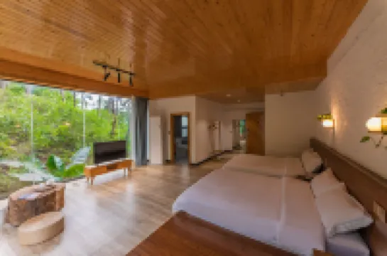 Ten year Boutique Homestay