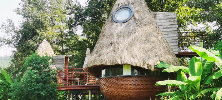 Jingdezhen Yuli Scenic Area Countryside Ant Homestay Hotele w: Powiat Fuliang