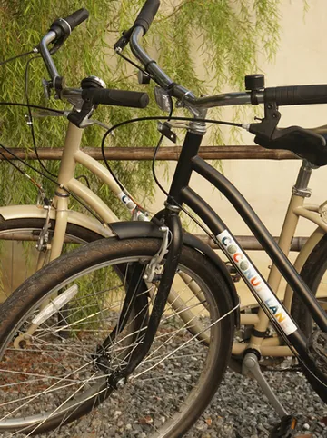 รูปภาพของโคโค่นัท เลน