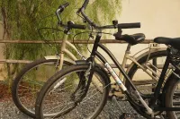 Coconut Lane Bangkok Hotels in Phra Pradaeng