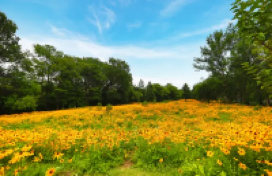 長白山林溪山居民宿（北景區遊客集散中心店）