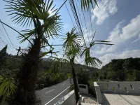 杭州仙鸕山舍民宿 湯坑附近的飯店