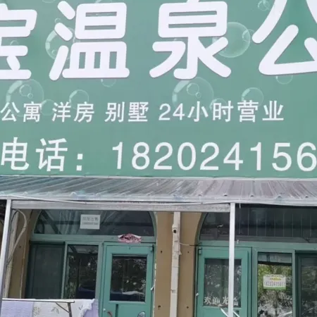 Er Bao Hot Spring Apartment
