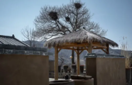 Tianshe Yaodong Homestay