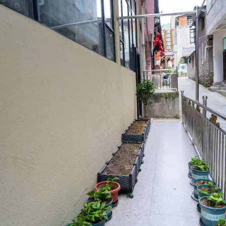 Mao County Baishi Langju Homestay