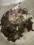 平潭境水雲台客棧 - 2星級