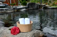 Yingjia Hot Spring Homestay - spa