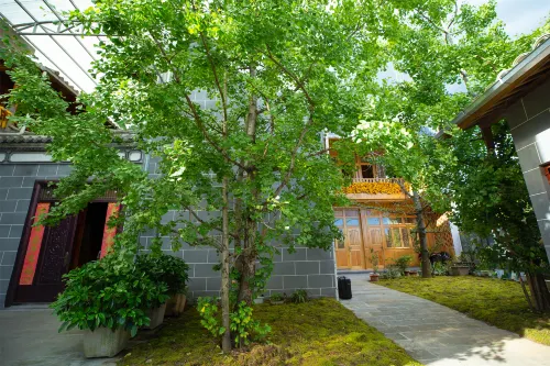 Tengchong Ginkgo Village Xibang Farm Stay