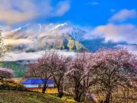 Bomi Yunsan Residence B&B (Gang Yunsan Forest Scenic Area Store) Hotels near Bomi Peach Blossom Valley