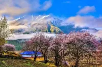Bomi Yunsan Residence B&B (Gang Yunsan Forest Scenic Area Store)
