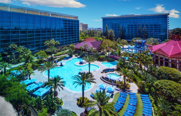 Disneyland Hotel