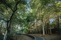 Sunrise Garden Suites Hotels in Orewa