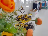 Shell Hotel (Cangzhou Jinlu Station Branch)