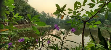 รูปภาพของวิลเลจ โฮมสเตย์