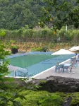 Spring Hotel - Pet friendly