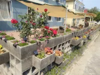 Xinhai Guest House 뤼순/여순 군항-신마트-대학타운 호텔