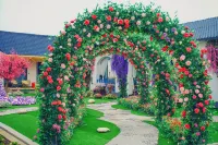 Huorgos | The Blossom Ark · Floral Tale Boutique Luxury Homestay - Homestays