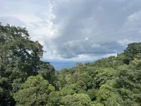 Jingkun Homestay (Jingmaishan Ancient Tea Forest Scenic Area)