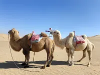 Mocheng Desert Camping Hotel