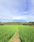 Simao Chaxinman Homestay (Pu'er High-Speed Railway Station) - Mountain view