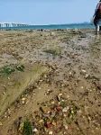 Xi Su Couryard(Jiageng Gymnasium Branch,Jimei School Village) - Strand