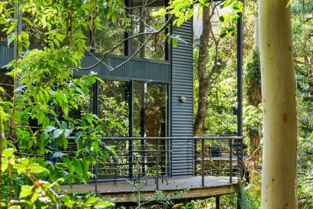 Pethers Rainforest Retreat Отели в г. Вонгаваллан