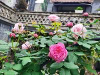 成都微雨花间客栈 - 其他