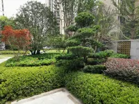 Riverside Manju Apartment (Ganzhou Wanxiang City Branch) - Airport Shuttle