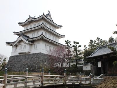 ホテル周辺 パレスホテル大宮の写真