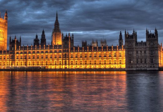 3. 슈발 해링턴 코..