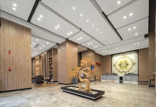 5. 청춘 선샤인 호..