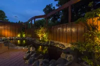 ART HOTEL Narita - Hot Springs