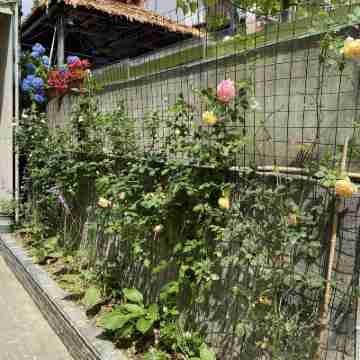 Tiantai Mountain Bamboo Sea Hotel Hotel Exterior