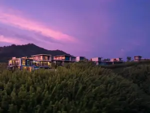 Aninn江南·雲墅（安吉桃花源店）