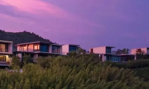 Aninn江南·雲墅（安吉桃花源店）