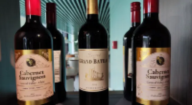 嵊州綠城玫瑰園嘉蘭酒店（越劇小鎮店）