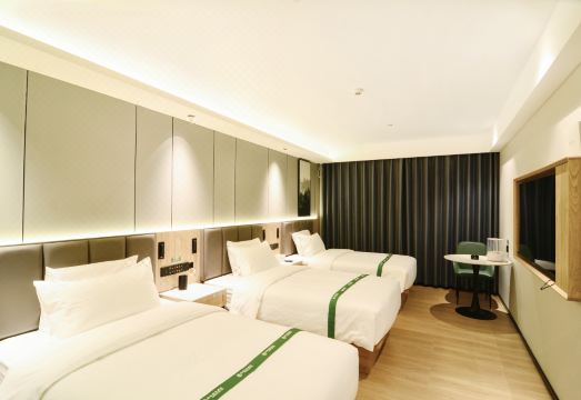 [그린트리 호텔의 내부 인테리어 이미지]