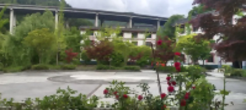 Asbestos Liziping Resort