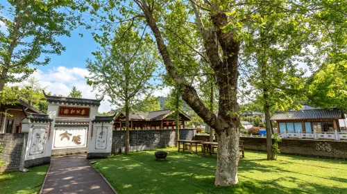 大隱熊貓｜Panda Valley 採摘民宿（富陽千年銀杏森林公園店）