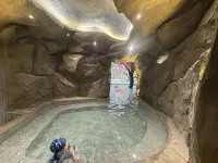 Nanqiao Qingcheng Hot Spring & Cinema Hotel (Dujiangyan Scenic Area Branch) - romantis