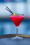 Oaks Sunshine Coast Oasis Resort - bar