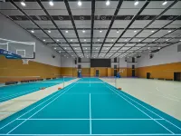 Starview Mansion - gimnasio
