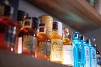 浮羅交怡別墅酒店-私人泳池 - 酒吧