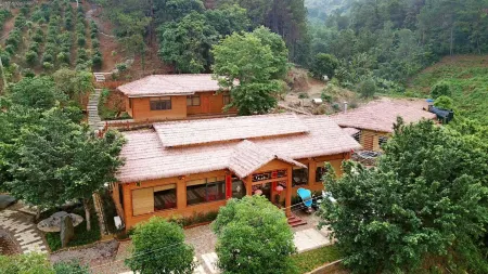 Sunbar Treehouse Hotel Отели в г. Хэчжоу