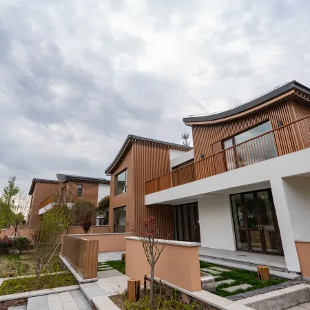 wild luxury Shanshu (Yellow Sea forest store in Dongtai)